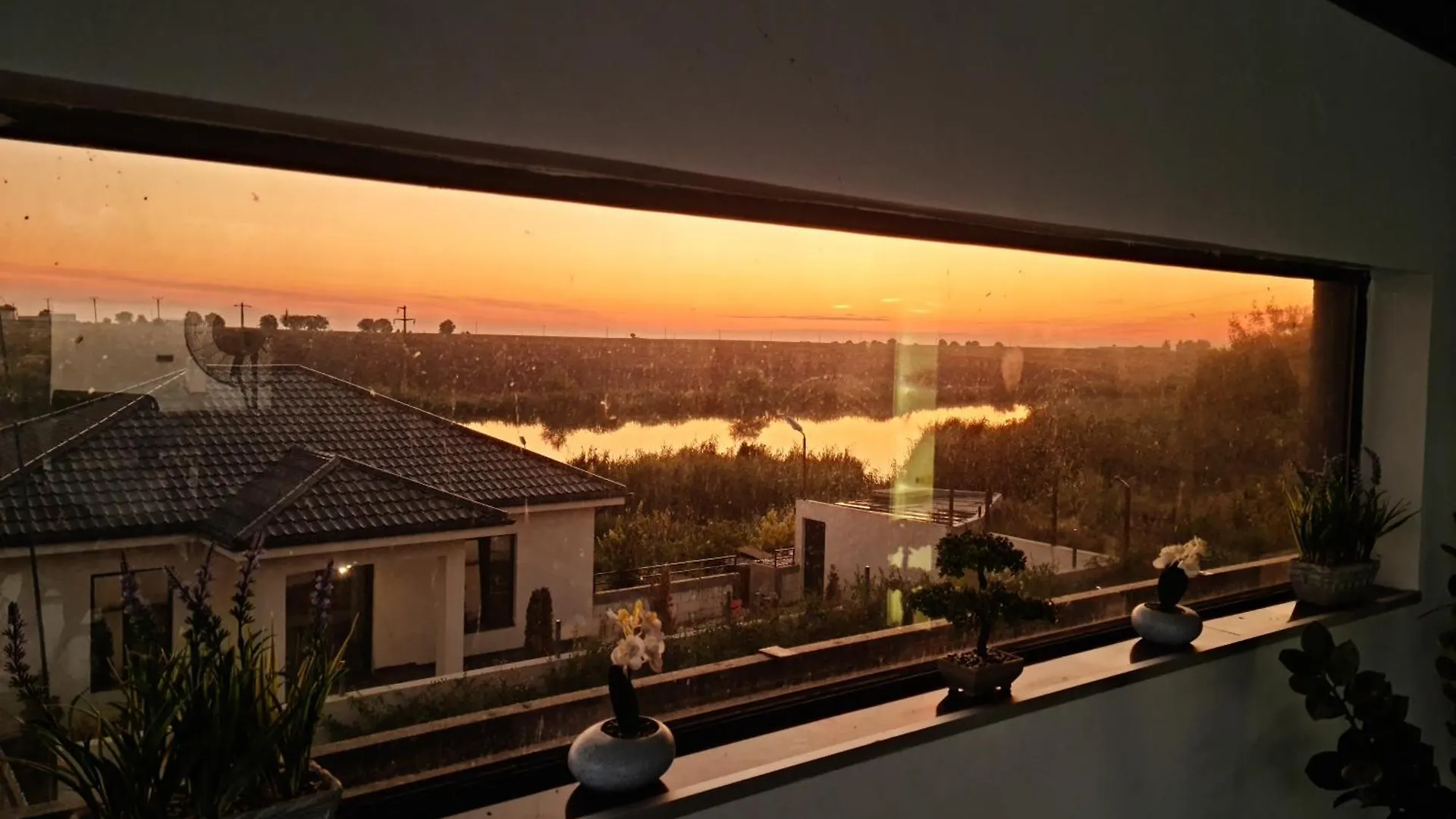 Grey House Villa Bucharest